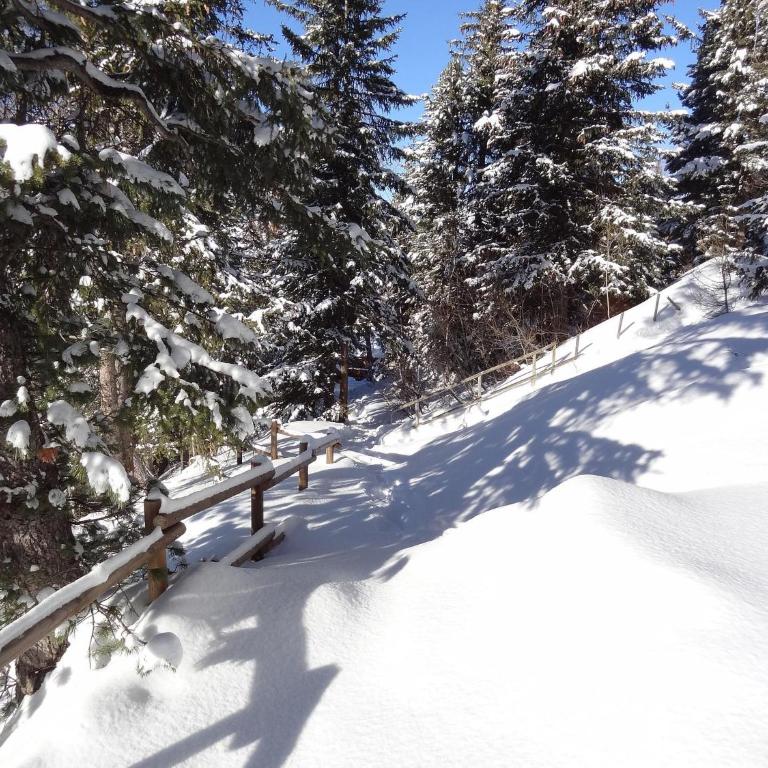 Chalet Antonin La Plagne 1800 - Maison de Vacances - 19