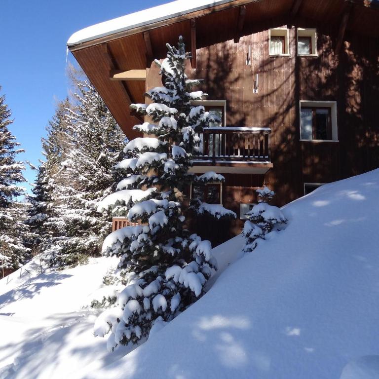 Chalet Antonin La Plagne 1800 - Maison de Vacances - 28
