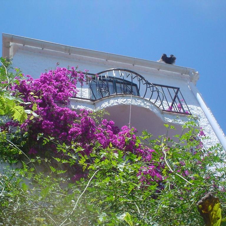 Villa Naranjos - Villa con vistas al mar - 3