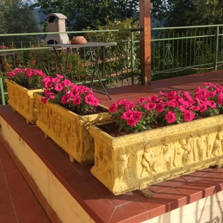 Villa MariaPia - Casa de 3 dormitorios - 26