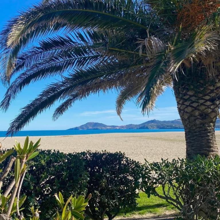 Studio Lunarya - Appartement 1 Chambre - 12