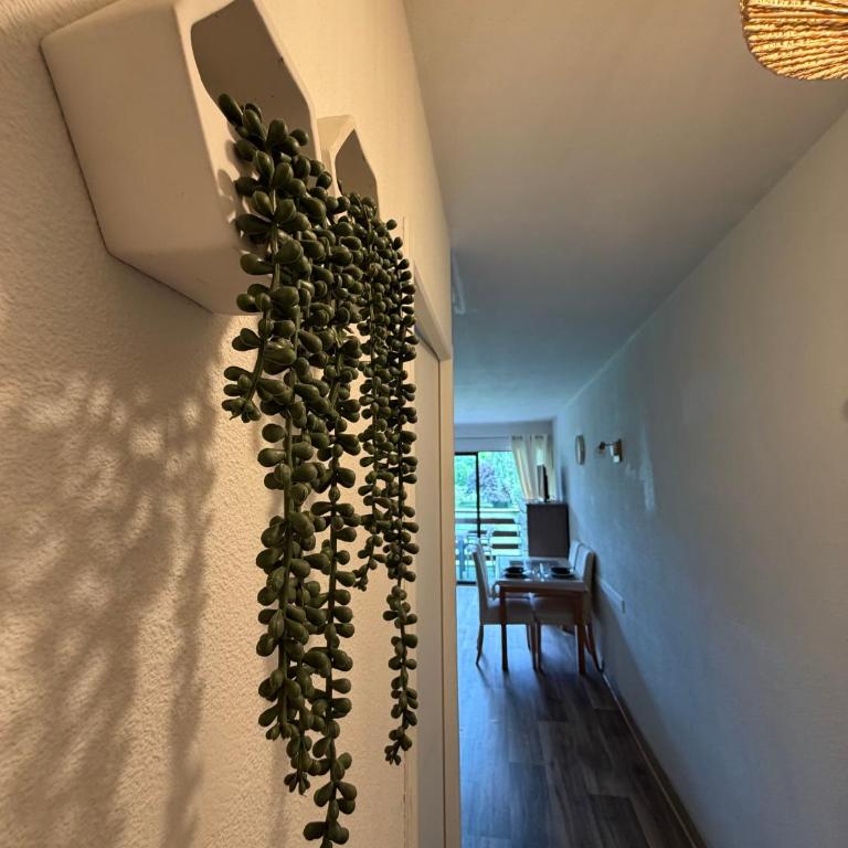 DaxLodge T2 Zen - Appartement 1 Chambre - 7