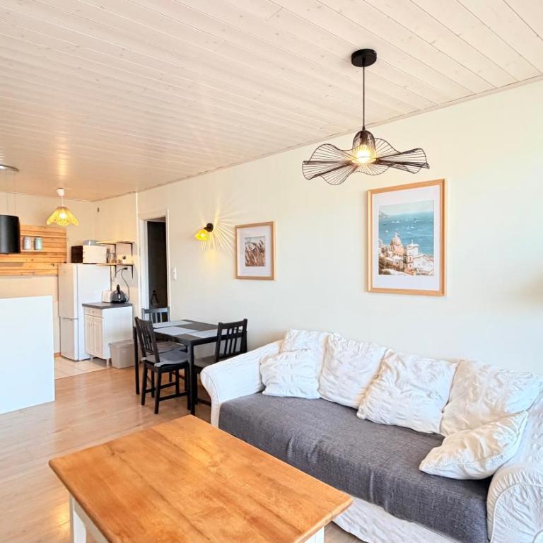 Charme et cosy, appartement de l'esplanade - One-Bedroom Apartment - 1