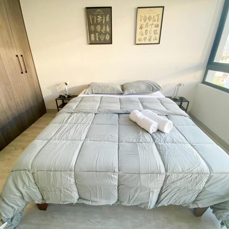 Universidad de Chile Hospital Apartment with Parking - One-Bedroom Apartment - 12