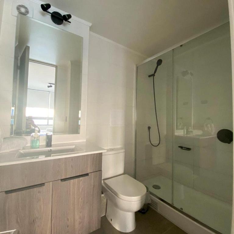Universidad de Chile Hospital Apartment with Parking - One-Bedroom Apartment - 17