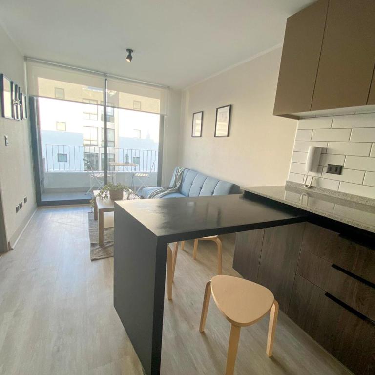 Universidad de Chile Hospital Apartment with Parking - One-Bedroom Apartment - 27