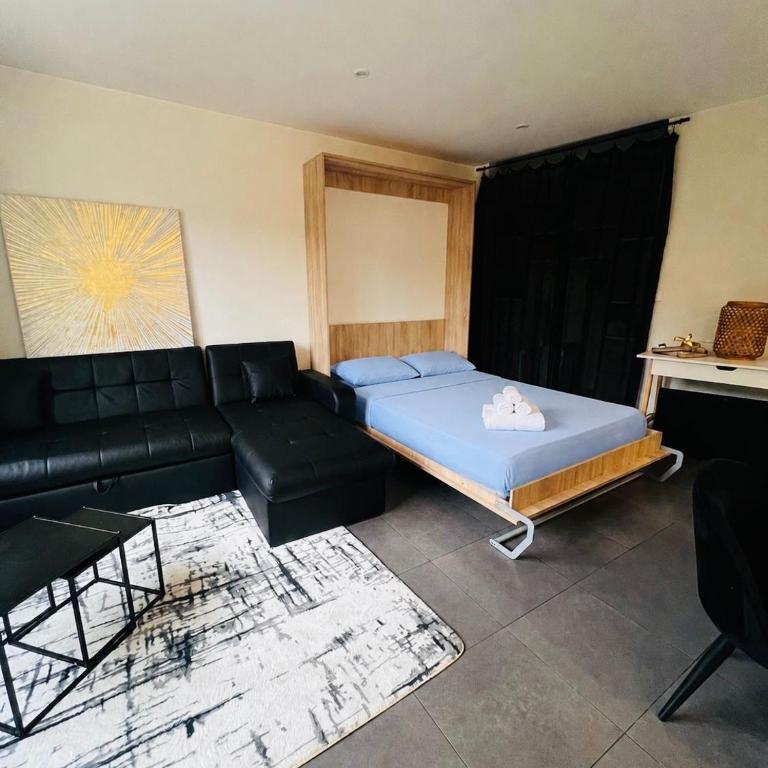 GRAND STUDIO RENOVE A CANNES IDEAL VACANCES et CONGRES - MER A PIED! - Appartement 1 Chambre - 10