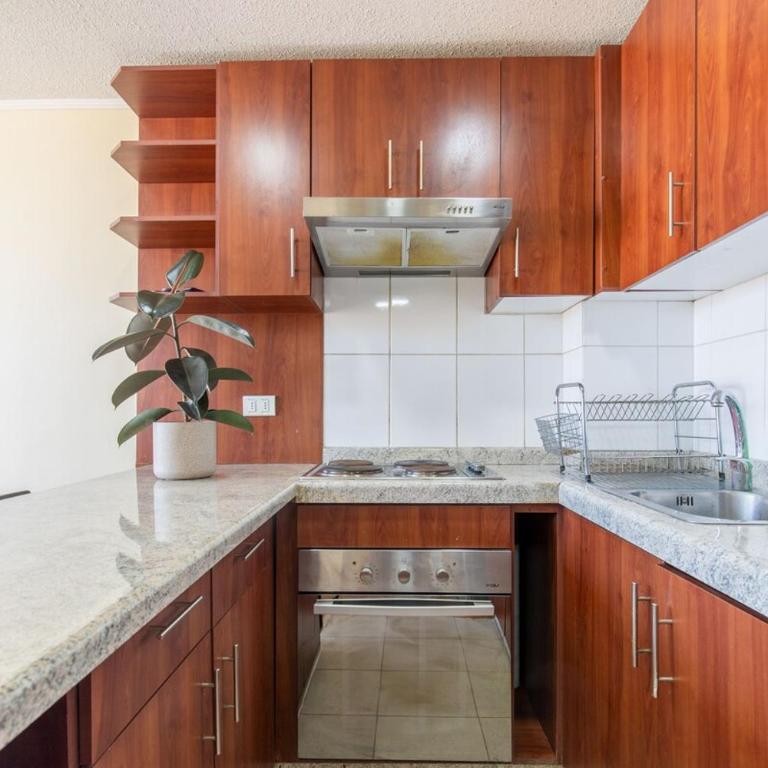 Apartment with pool gym and parking OHiggins Park - Two-Bedroom Apartment - 4