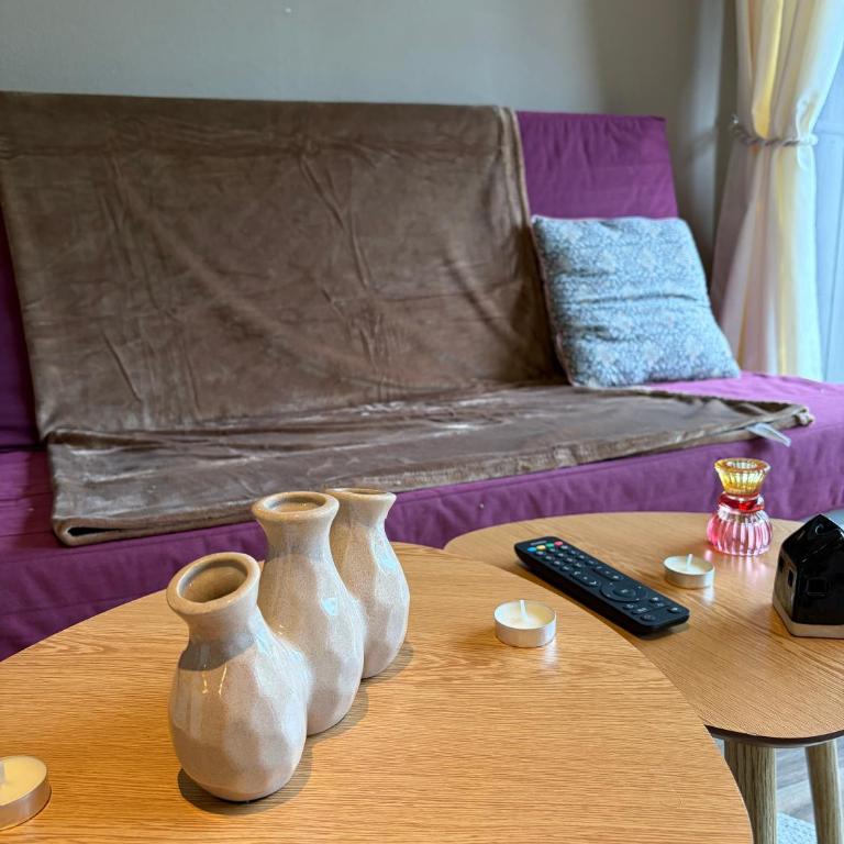 DaxLodge T2 Zen - Appartement 1 Chambre - 26