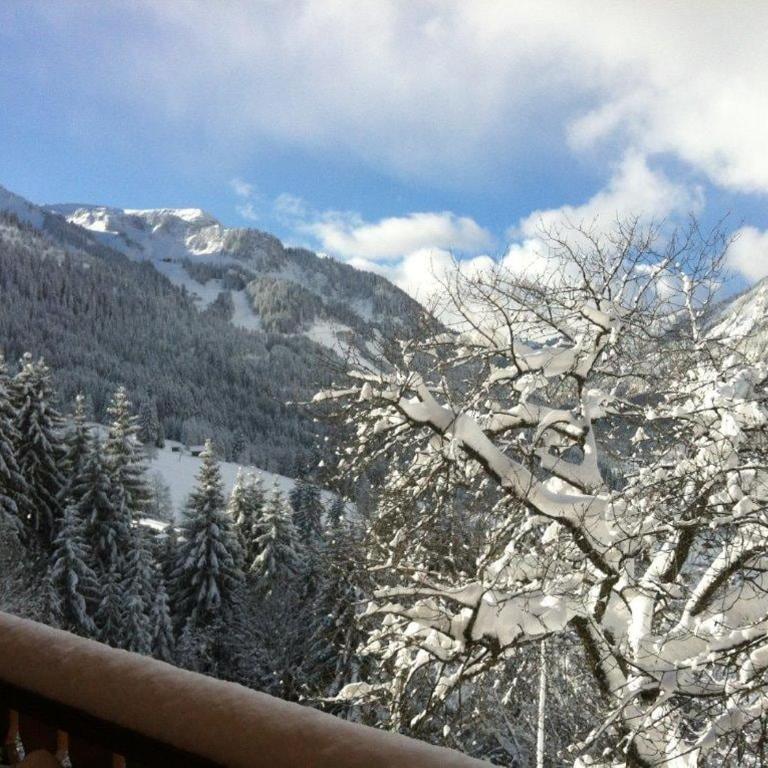 Balcons de Châtel - Appartement - 34