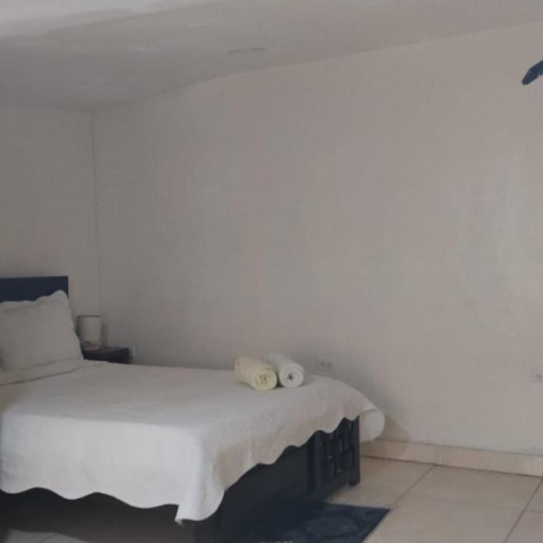 Miss Titi's Native Lodge - Apartamento Deluxe de 2 dormitorios con balcón - 27