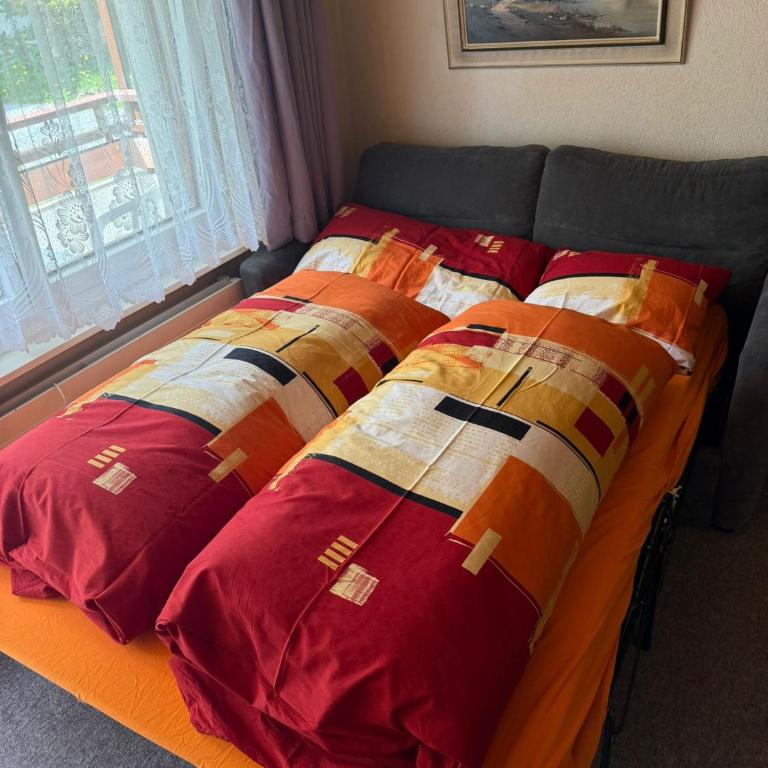 Gonenstein 11 - Apartamento de 1 dormitorio - 3