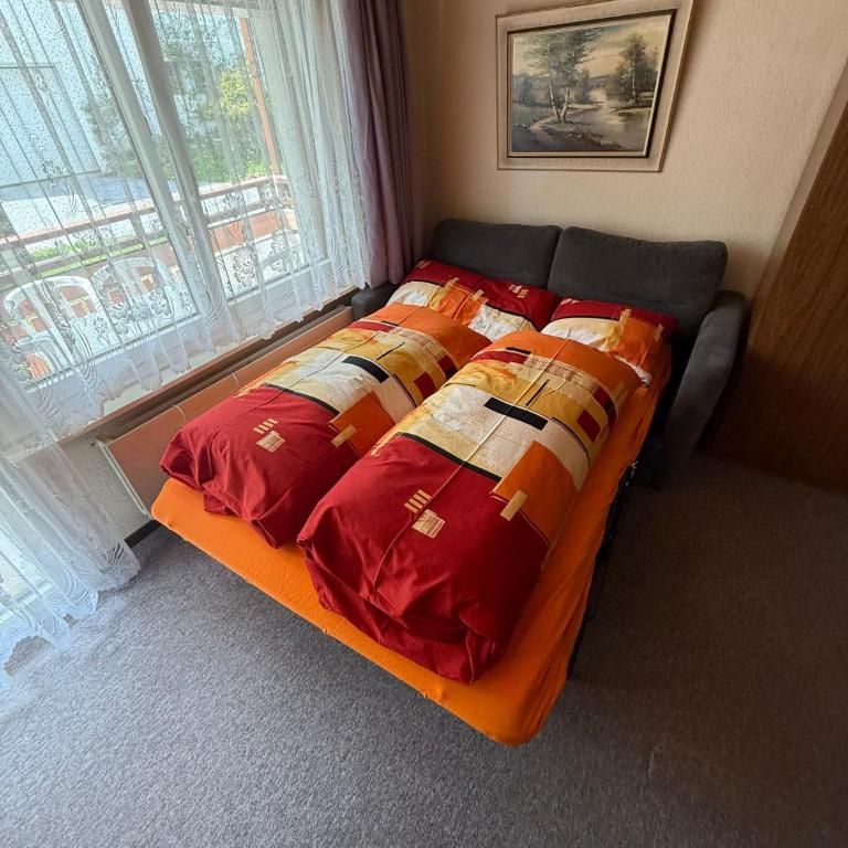 Gonenstein 11 - Apartamento de 1 dormitorio - 12