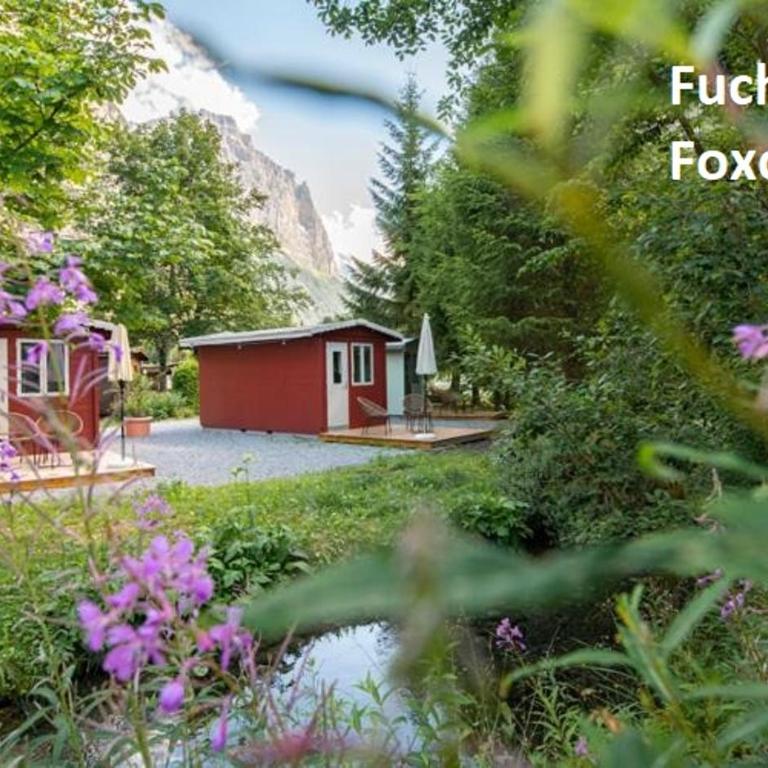 Camping Jungfrau - Hütte Fox - 1