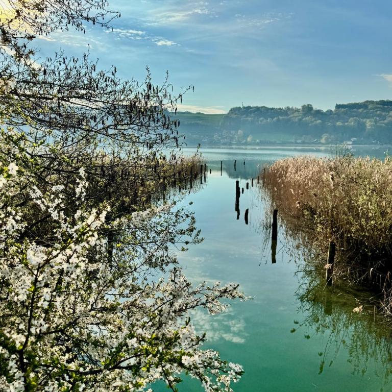 SeeLaVie - Tiny Houses am Mattsee - Maison 1 Chambre - 14