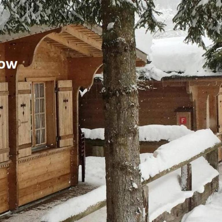 Camping Jungfrau - Bungalow - 10