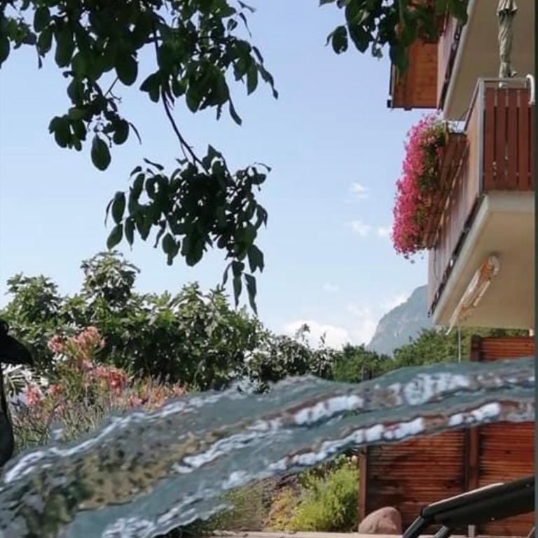 Kerschbamerhof im Süden Südtirols - Apartment with Pool View - 3