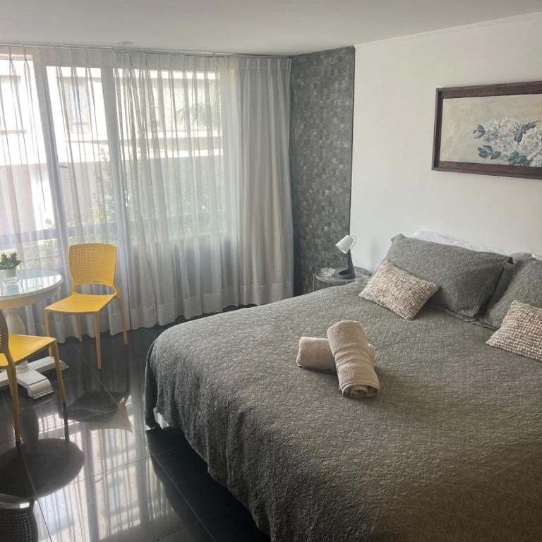 Moderno departamento en Providencia 2D,2B, Wifi - Apartamento de 2 dormitorios - 12
