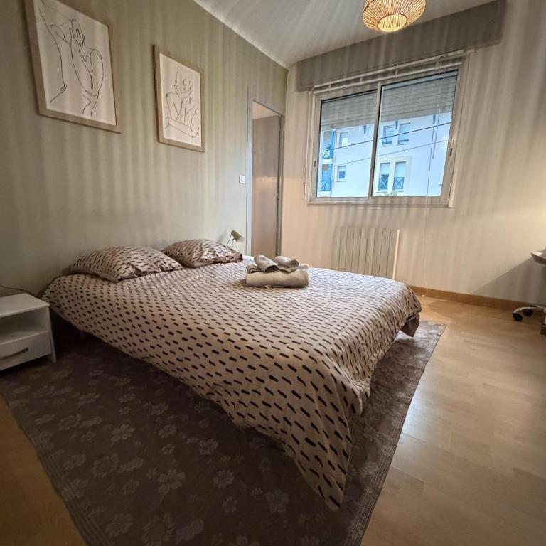 DaxLodge T2 Chill - Appartement 1 Chambre - 48