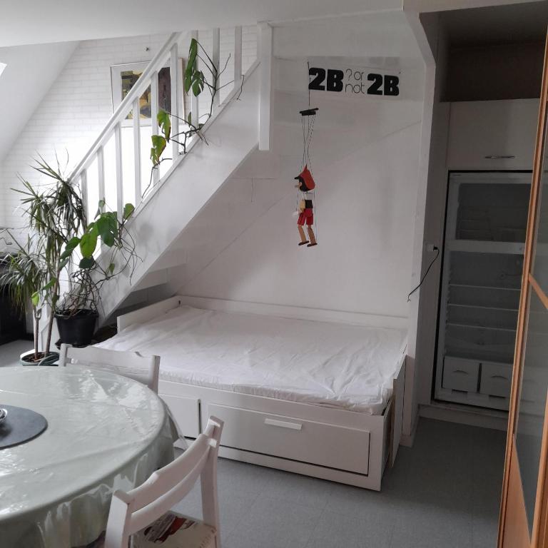 Rennes, studio duplex 35 m2 avec terrasse sud de 6m2 donnant sur parc arboré - Studio - 6