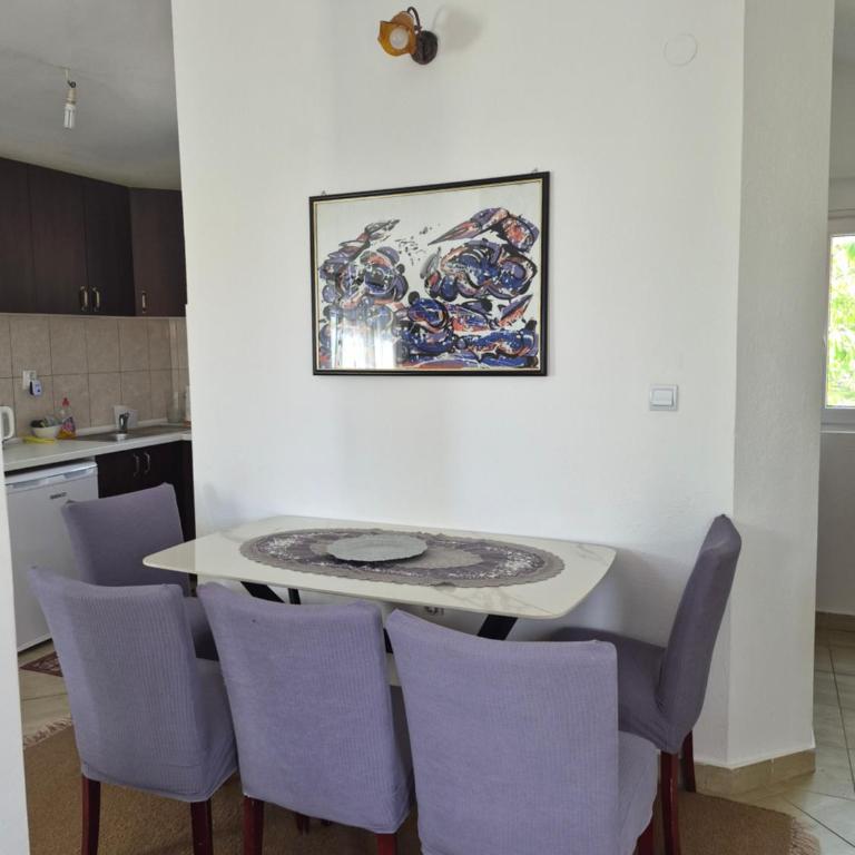 Guest house Duletic - Apartman sa Pogledom na Planinu - 12