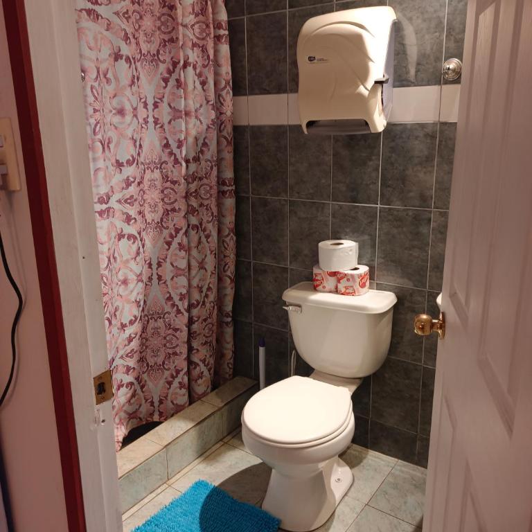 cabañas Te Pito Kura - Casa con 1 dormitorio - 13