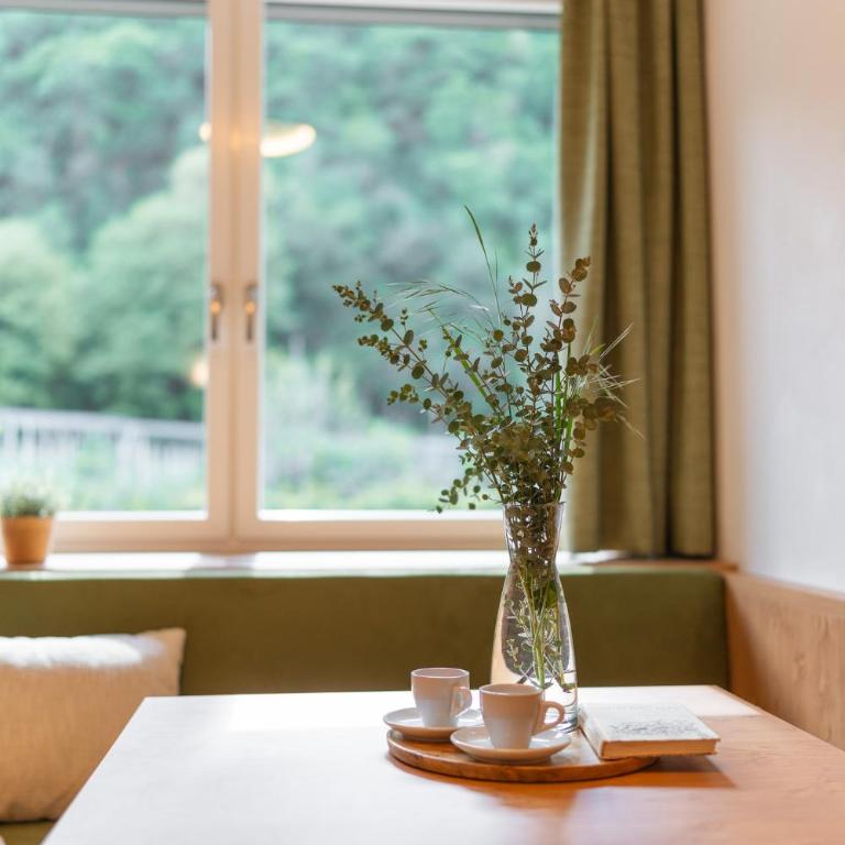 Kreuzwegerhof Nals - Apartments with Pool and Air Conditioning near Merano & Bolzano - Monolocale con Vista Montagna - 2