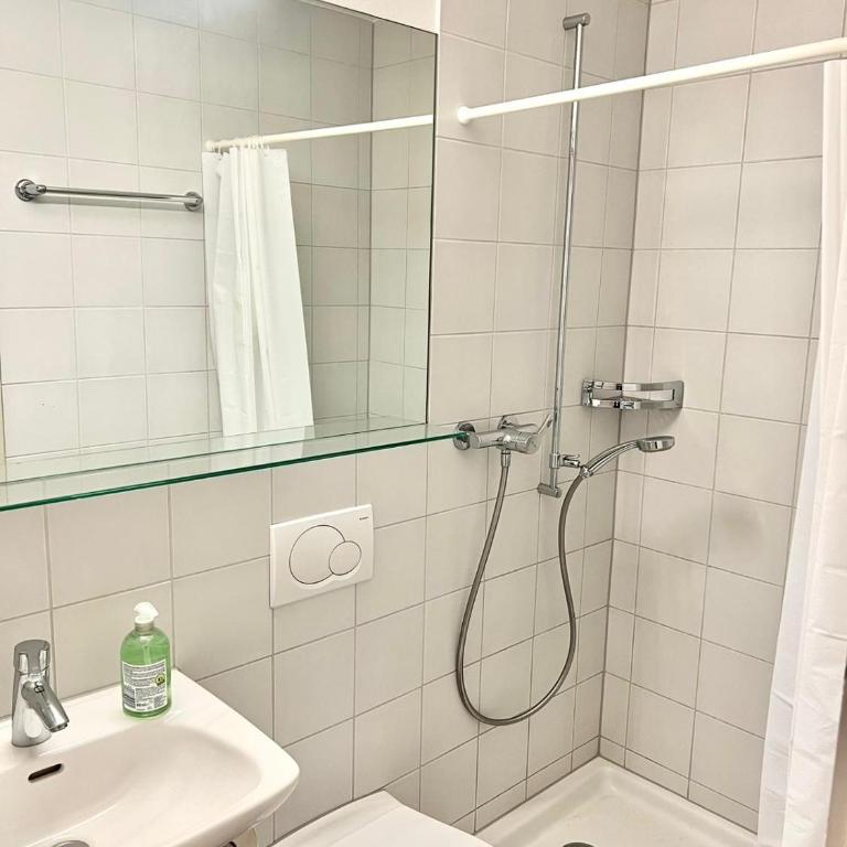 Downtown Flats - Lake Lucerne - Apartment mit 1 Schlafzimmer - 7