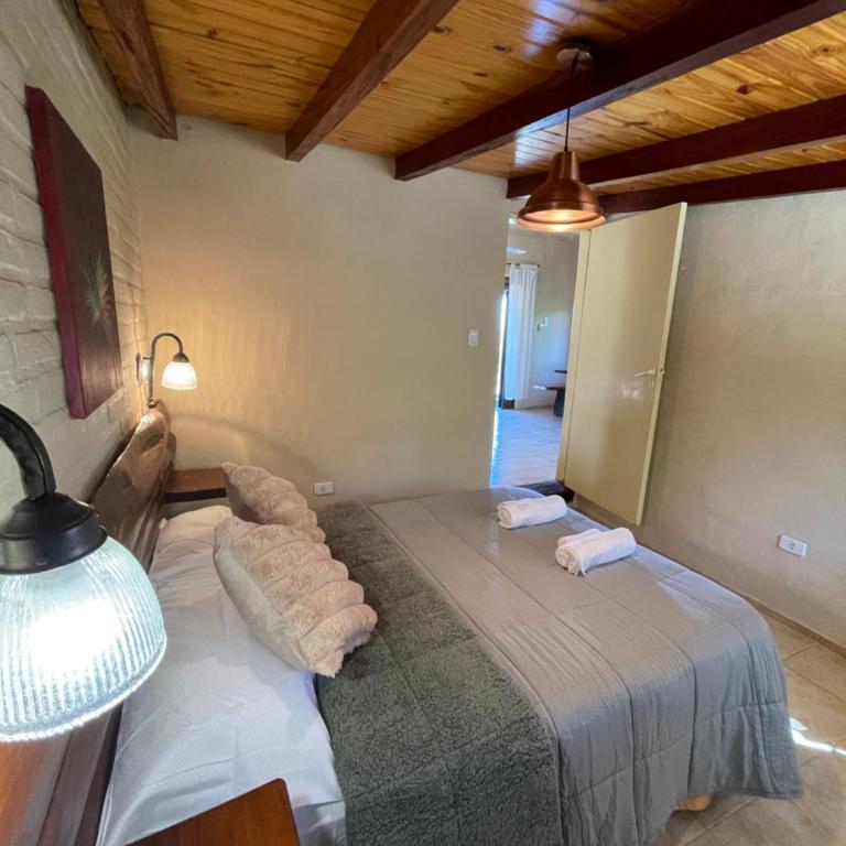 Refugio 17 - Cabañas & Suites de montaña en Falda del Carmen - Casa - 15