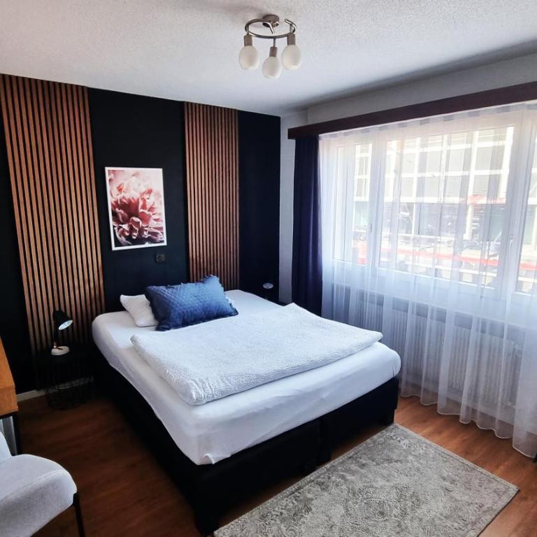 Hotel Europe Brig - Doppelzimmer - 4
