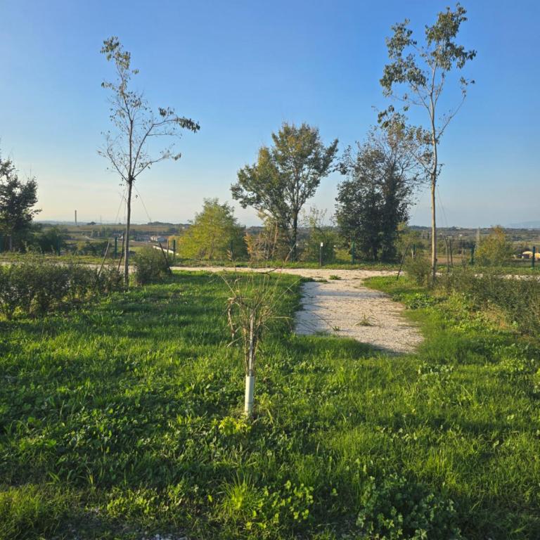 Agricampeggio AL CIELO STELLATO - Empty lot/Piazzola vuota (bring your own tent/caravan/autocamper) - 2