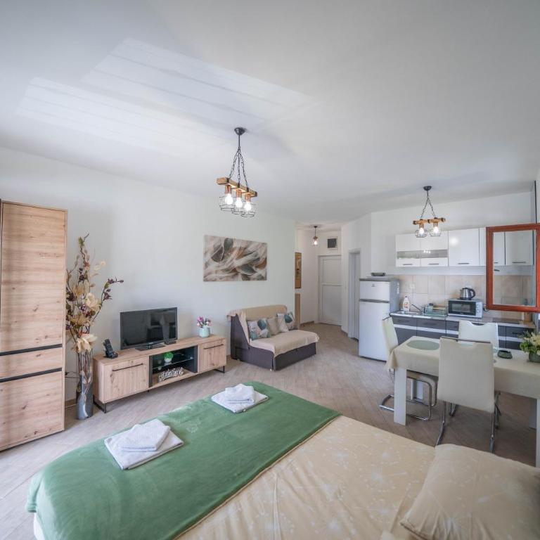 Apartments Darija - Studio Apartment with Sea View - 7