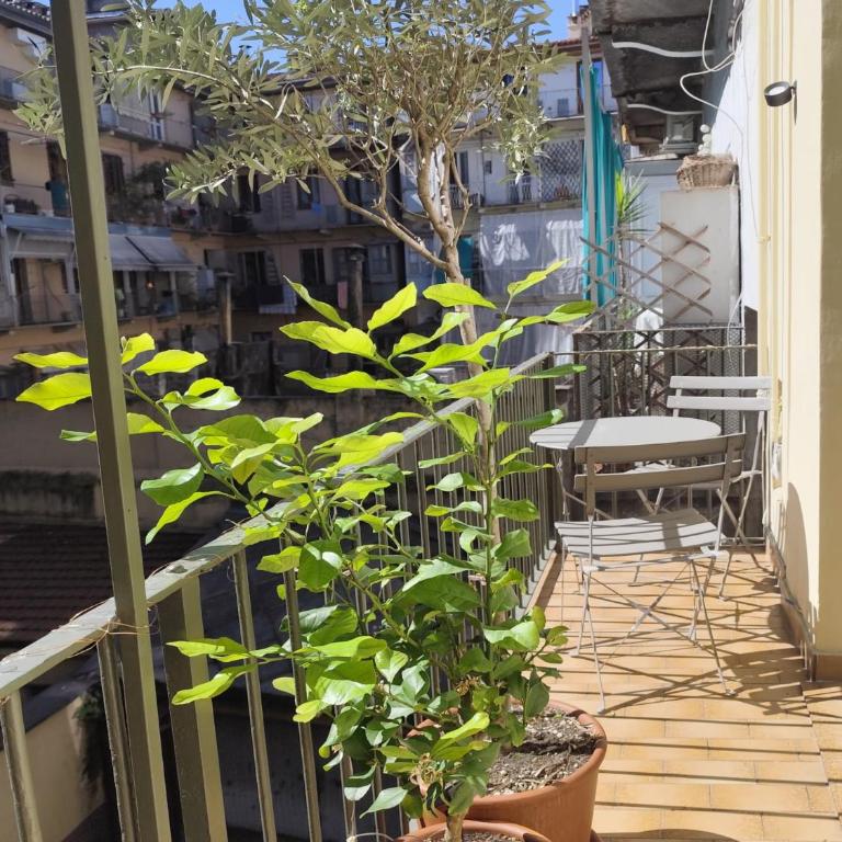 Casa Cecilia San Salvario - Appartamento con 2 Camere da Letto - 19