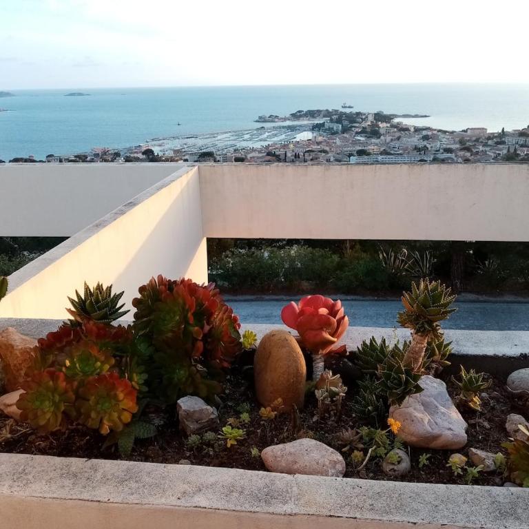 Le studio grand large - Appartement 1 Chambre - 5