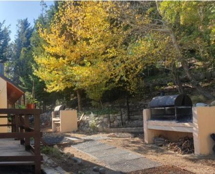 Aucapillan - Apartamento de 2 dormitorios con vistas al lago - 10