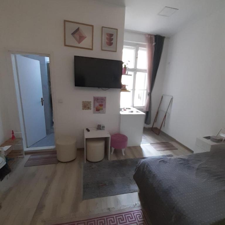 FG Apartment - Niskobudžetna Dvokrevetna Soba sa Bračnim Krevetom - 4