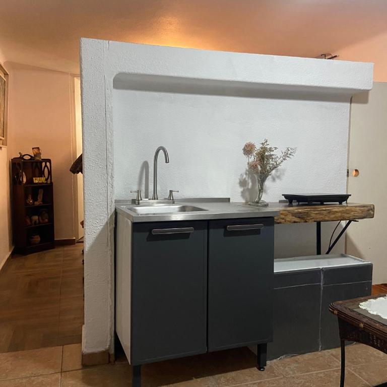 Depa Alpes M Barranca 1 habitación elevador - Apartamento de 1 dormitorio - 7