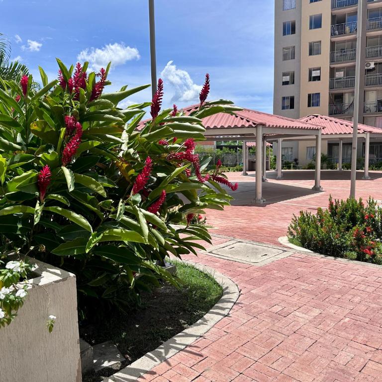 Sun luxury suit Ricaurte - Apartamento de 2 dormitorios - 13