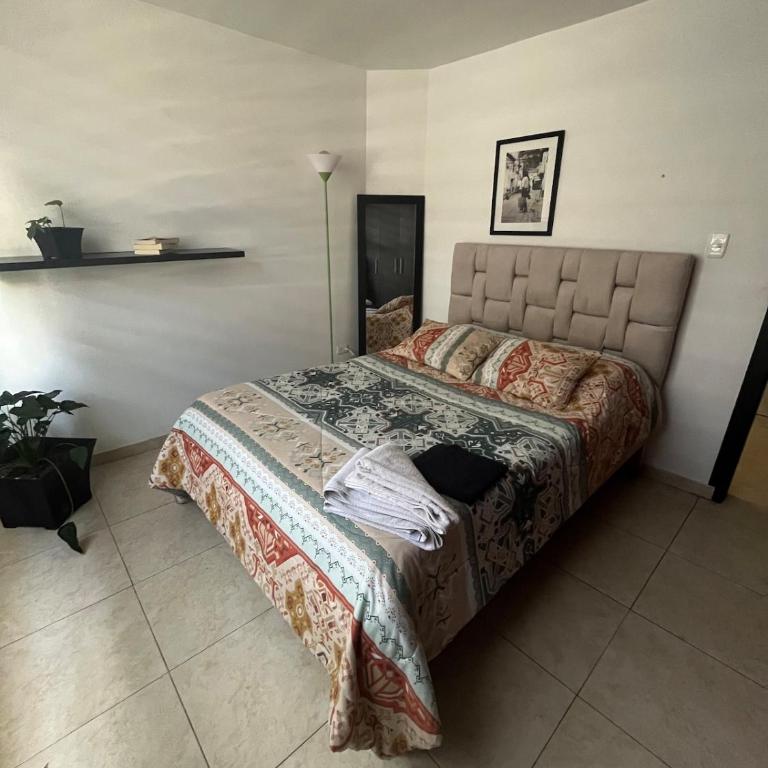 Apartment among plants - One-Bedroom Apartment - 6