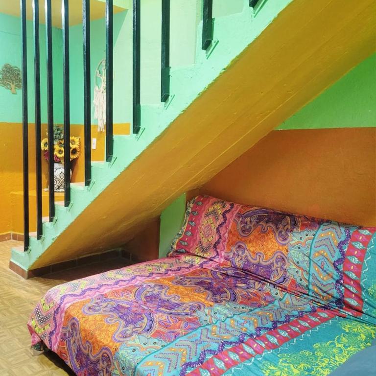 Frida Inspired Oceanview Old Town, Centro Vallarta Heritage House - Apartamento Suite de 3 dormitorios - 17