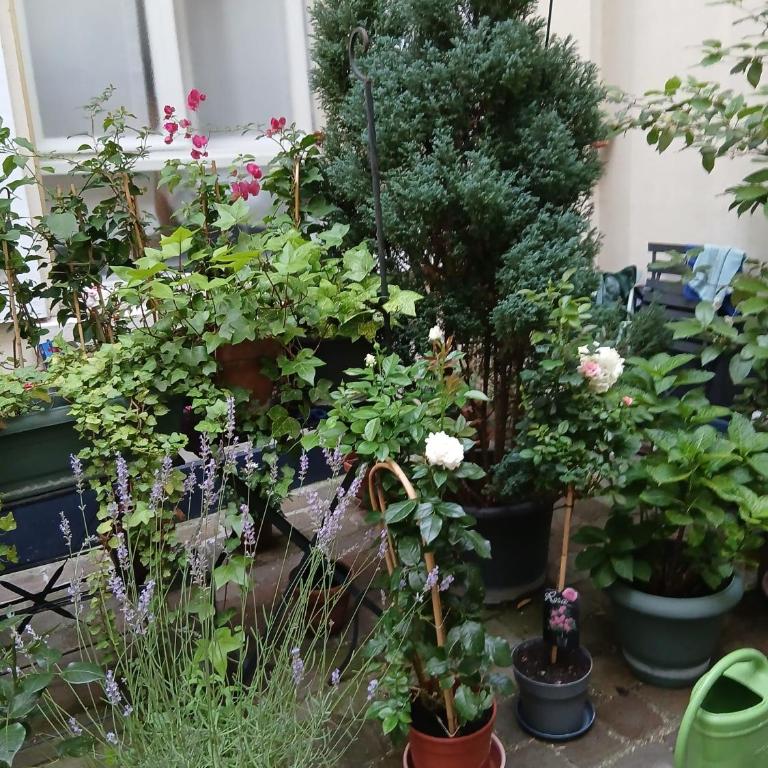 STUDIO 86 rue LEVIS 75017 - Appartement 1 Chambre - 2