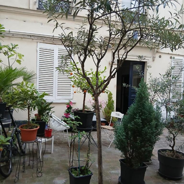 STUDIO 86 rue LEVIS 75017 - Appartement 1 Chambre - 6