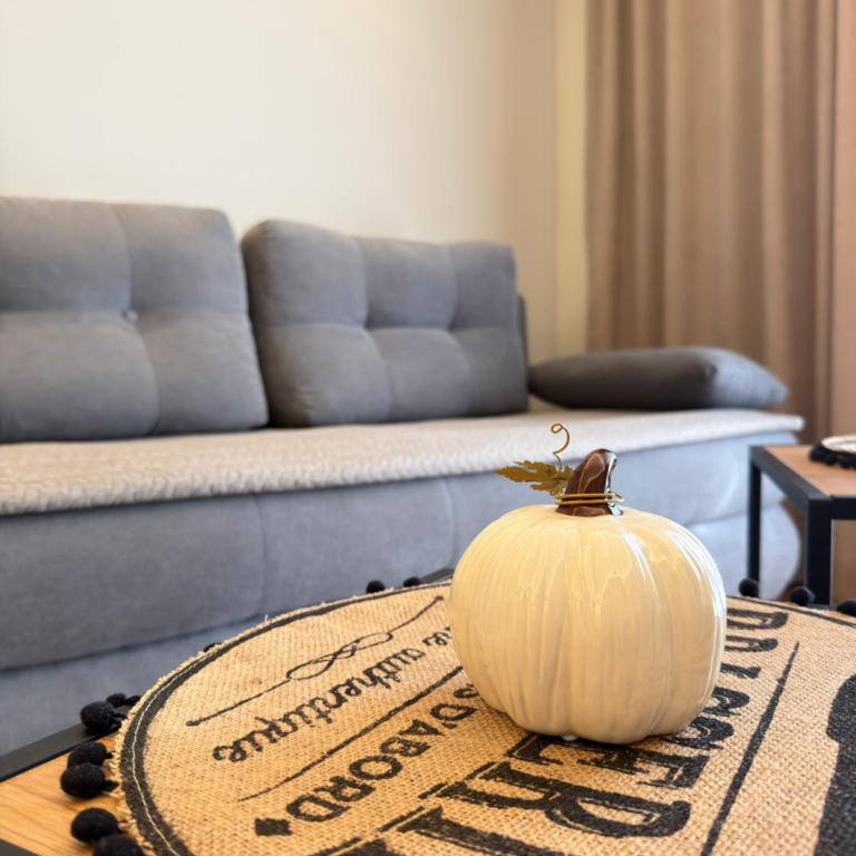 AquaVita Suite & Pool - Apartman sa 1 Spavaćom Sobom - 11