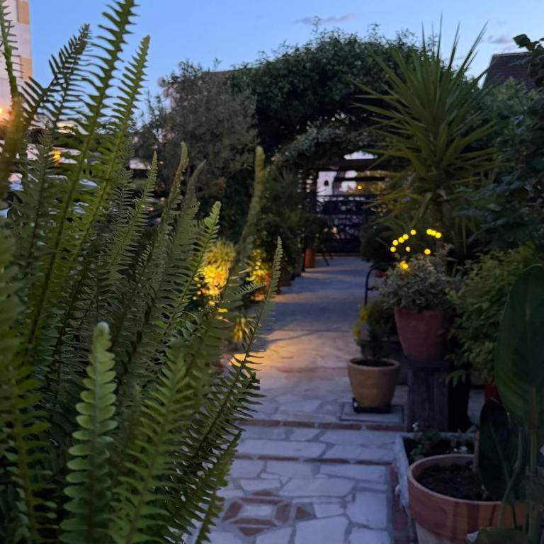 Grand Apartments Scepanovic - One-Bedroom Apartment with Terrace - 6