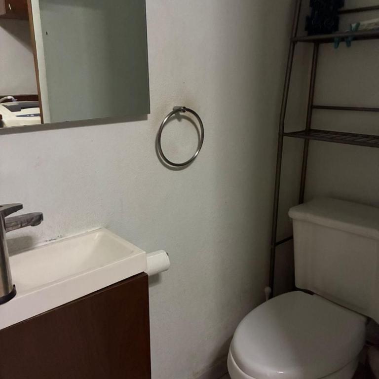 An excellent apartment to enjoy Mexico City - One-Bedroom Apartment - 5
