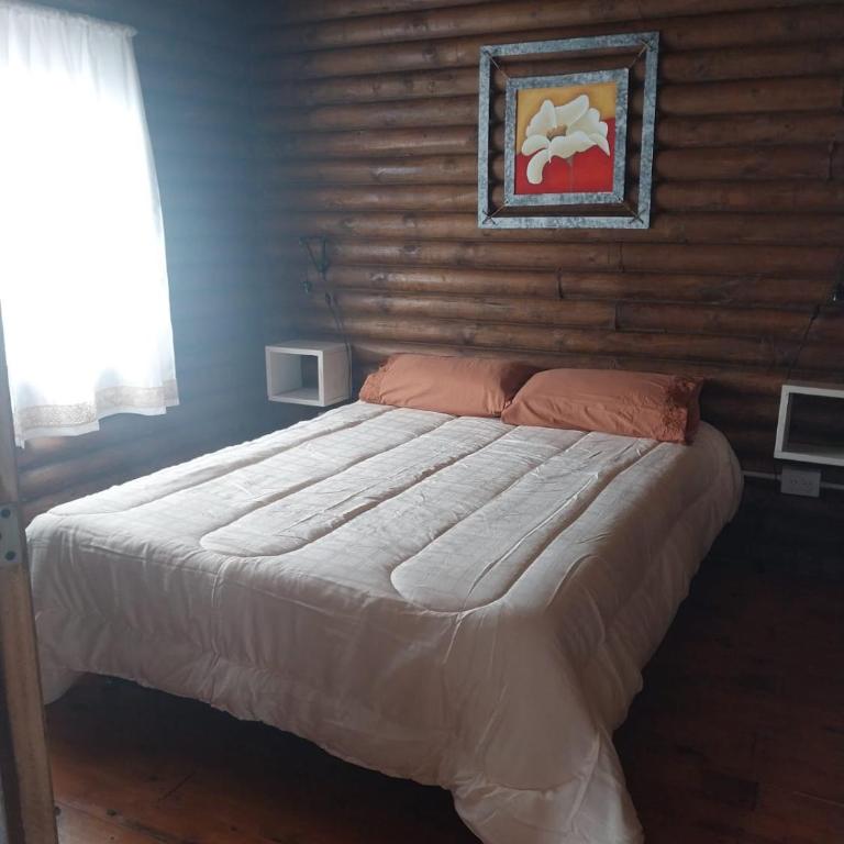 Cabañas La Silvanita - Apartamento de 1 dormitorio - 5