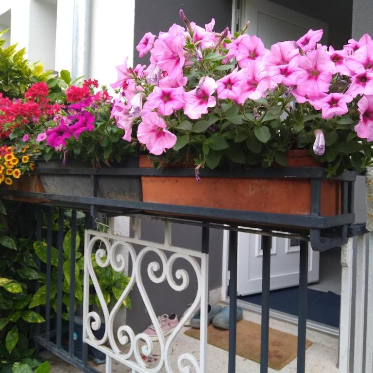 La rose beautiful brand new apartment in souplex - Apartamento de 1 dormitorio - 4