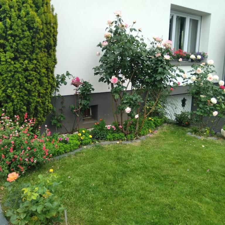La rose beautiful brand new apartment in souplex - Apartamento de 1 dormitorio - 5