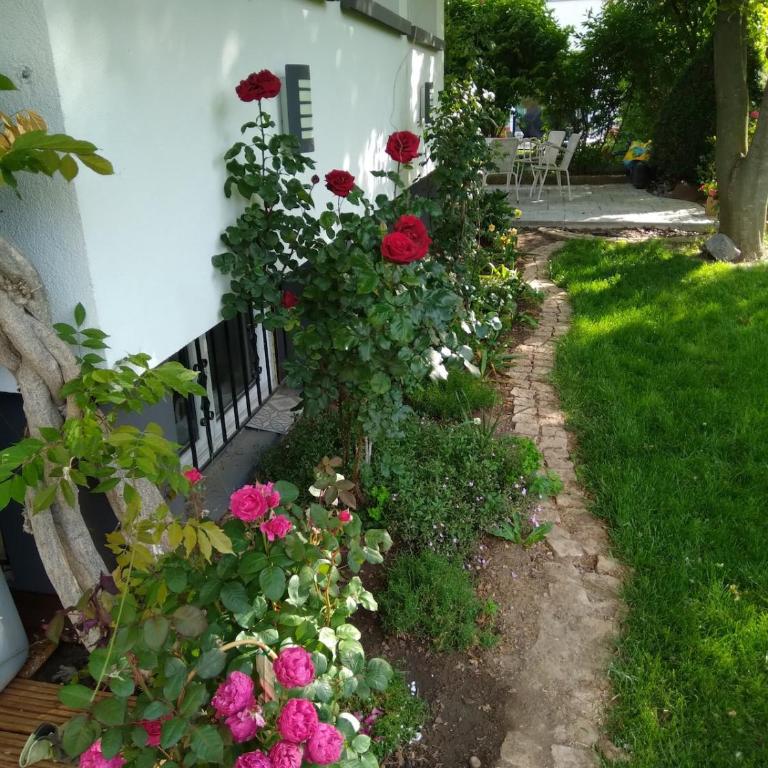 La rose beautiful brand new apartment in souplex - Apartamento de 1 dormitorio - 20