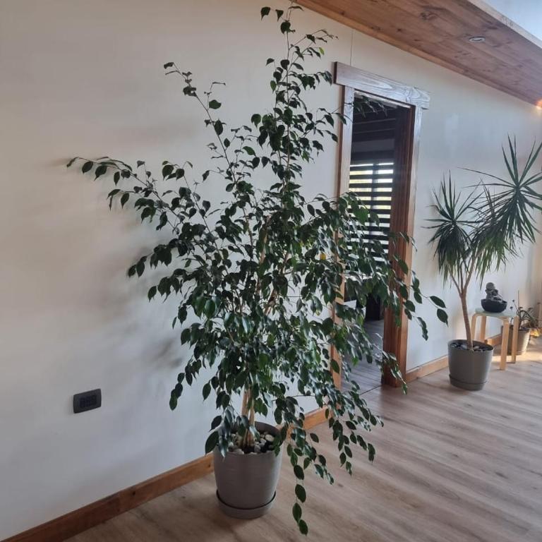 Casa Panorámica en la Naturaleza - Casa con 1 dormitorio - 5